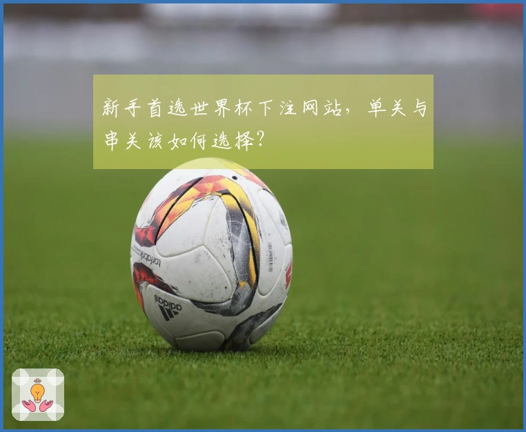 新手首选世界杯下注网站，单关与串关该如何选择？