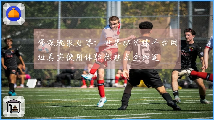 资深玩家分享：世界杯买球平台网址真实使用体验优缺点全知道
