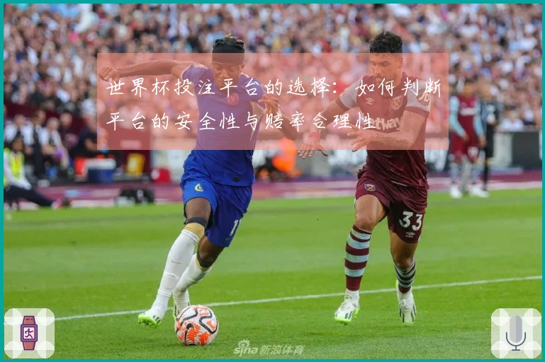 世界杯投注平台的选择：如何判断平台的安全性与赔率合理性