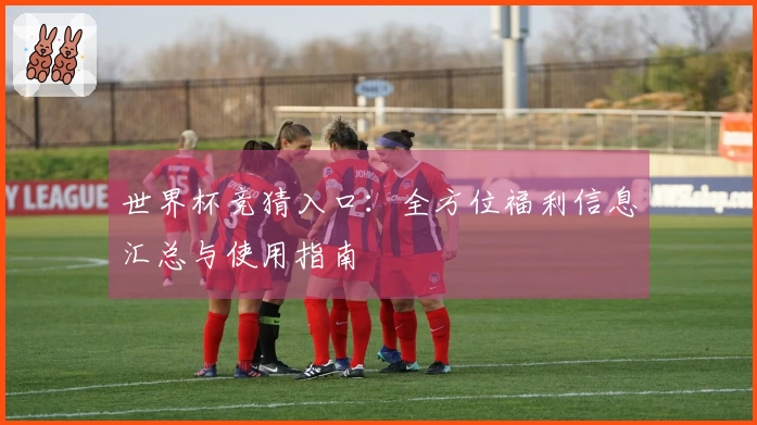 世界杯竞猜入口：全方位福利信息汇总与使用指南