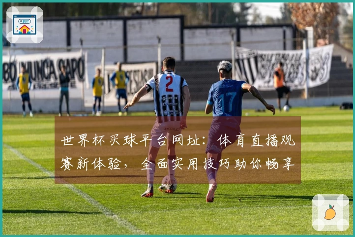 世界杯买球平台网址：体育直播观赛新体验，全面实用技巧助你畅享精彩赛事