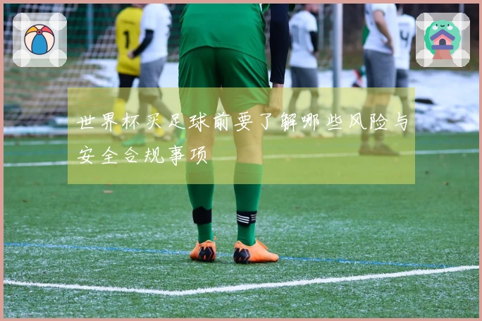 世界杯买足球前要了解哪些风险与安全合规事项
