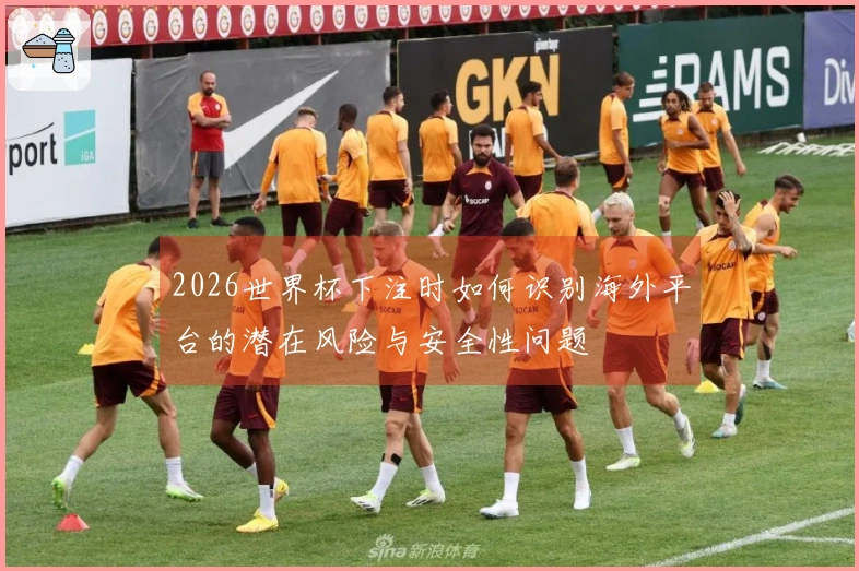 2026世界杯下注时如何识别海外平台的潜在风险与安全性问题