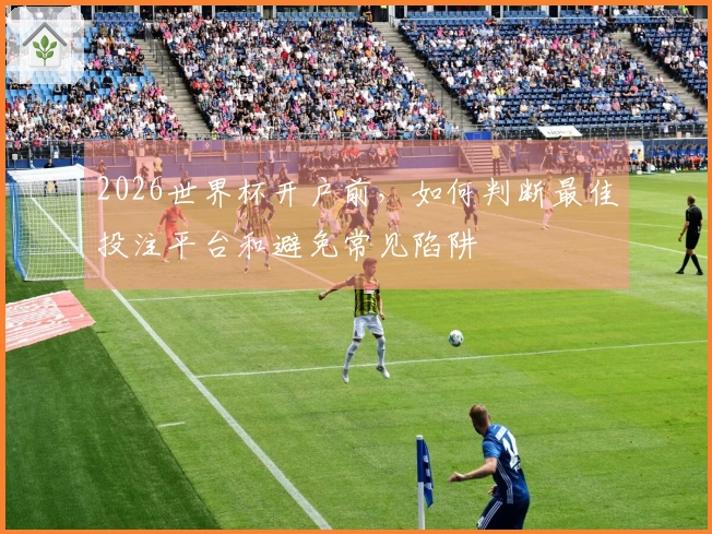 2026世界杯开户前，如何判断最佳投注平台和避免常见陷阱