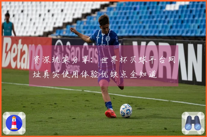 资深玩家分享：世界杯买球平台网址真实使用体验优缺点全知道