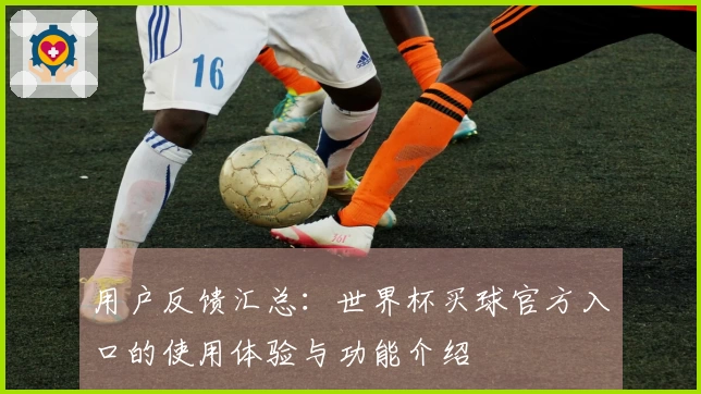 用户反馈汇总：世界杯买球官方入口的使用体验与功能介绍