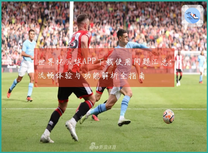 世界杯买球APP下载使用问题汇总：流畅体验与功能解析全指南