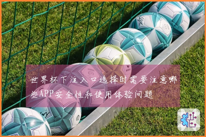 世界杯下注入口选择时需要注意哪些APP安全性和使用体验问题